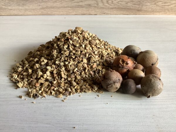 Galle di quercia 100 gr
